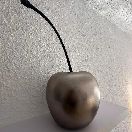 Lumineux Equipe Daire *